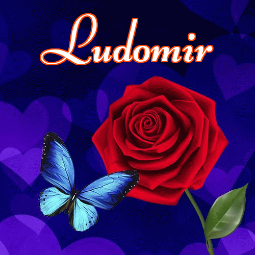 Miłego wieczoru i dobrej nocy życzę!。 