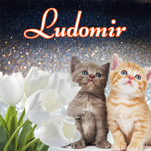 Miłego wieczoru i dobrej nocy życzę!。 