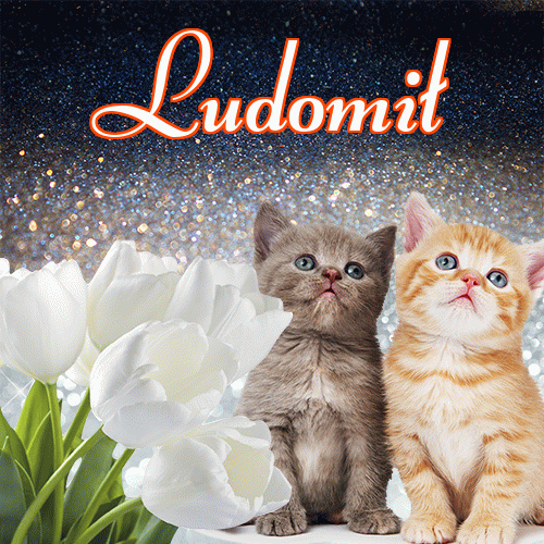 Miłego wieczoru i dobrej nocy życzę!。 