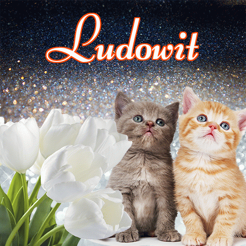 Miłego wieczoru i dobrej nocy życzę!。 