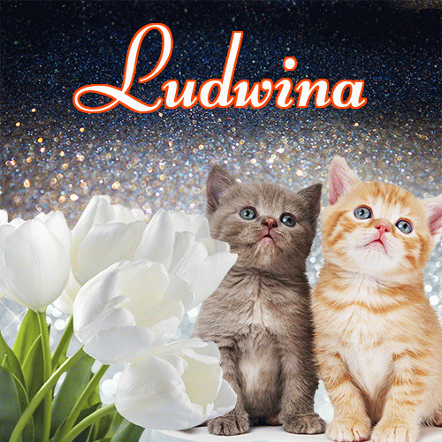 Miłego wieczoru i dobrej nocy życzę!。 