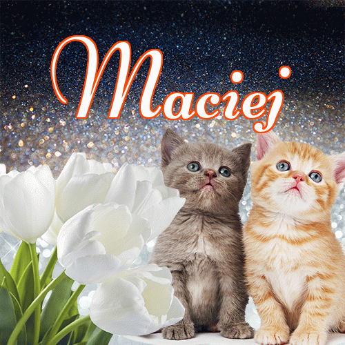 Miłego wieczoru i dobrej nocy życzę!。 