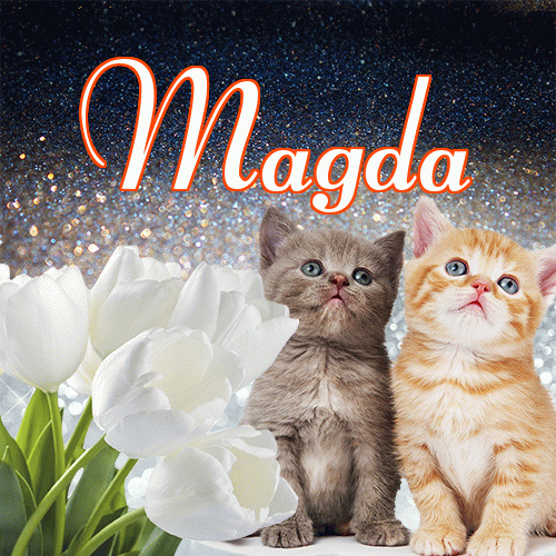 Miłego wieczoru i dobrej nocy życzę!。 