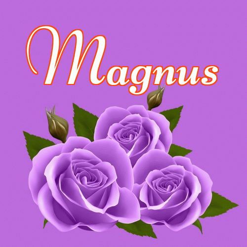 Miłego wieczoru i dobrej nocy życzę!。 