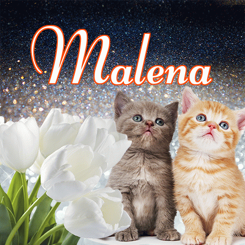 Miłego wieczoru i dobrej nocy życzę!。 