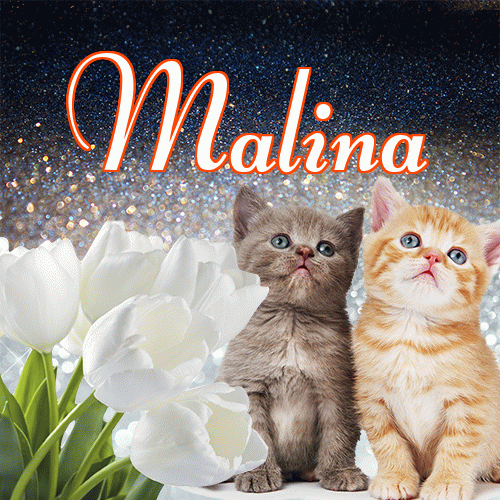 Miłego wieczoru i dobrej nocy życzę!。 