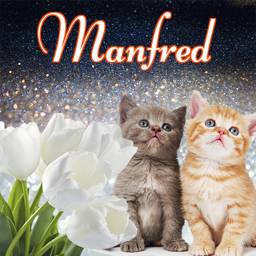 Miłego wieczoru i dobrej nocy życzę!。 