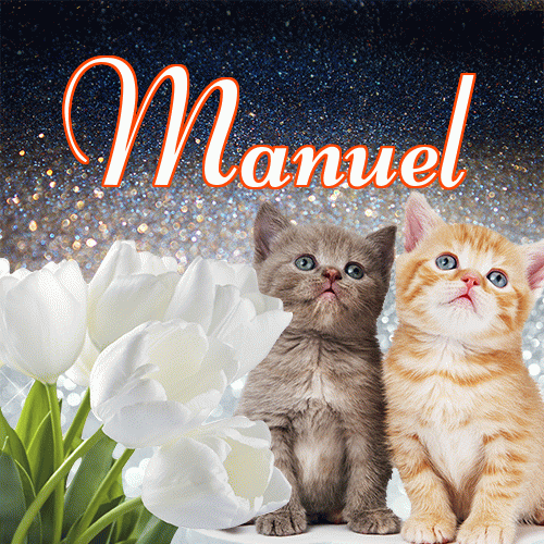 Miłego wieczoru i dobrej nocy życzę!。 