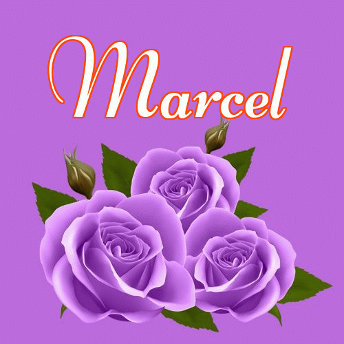 Miłego wieczoru i dobrej nocy życzę!。 