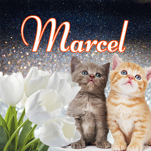 Miłego wieczoru i dobrej nocy życzę!。 