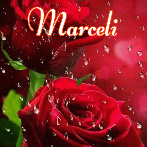 Miłego wieczoru i dobrej nocy życzę!。 