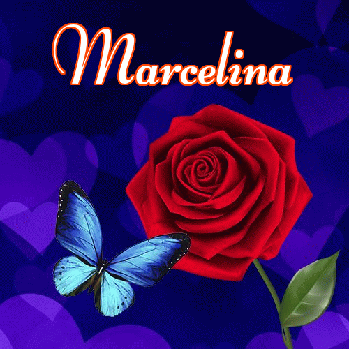 Miłego wieczoru i dobrej nocy życzę!。 