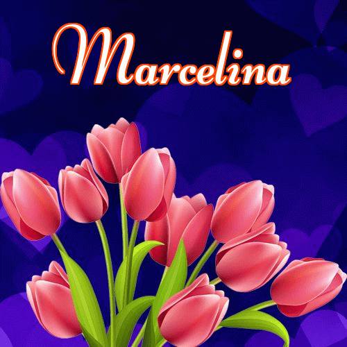 Miłego wieczoru i dobrej nocy życzę!。 