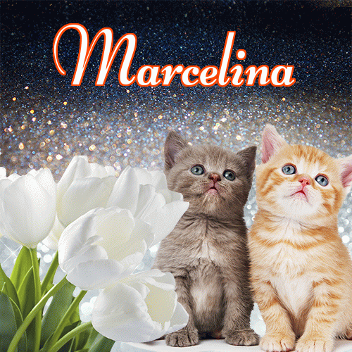 Miłego wieczoru i dobrej nocy życzę!。 