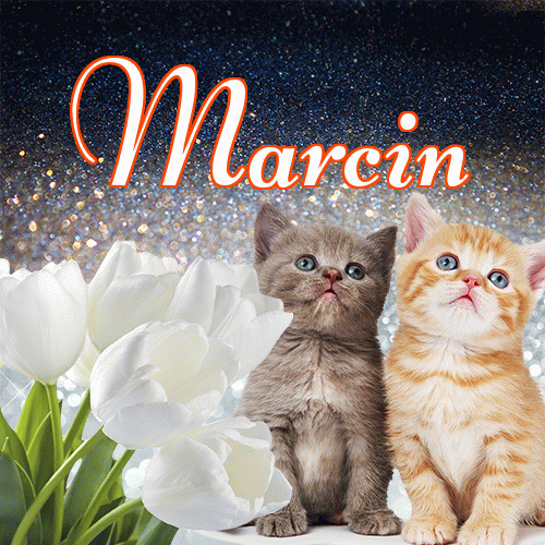 Miłego wieczoru i dobrej nocy życzę!。 