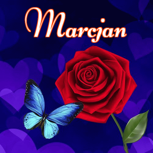 Miłego wieczoru i dobrej nocy życzę!。 