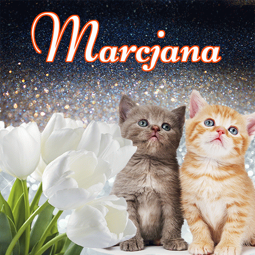 Miłego wieczoru i dobrej nocy życzę!。 