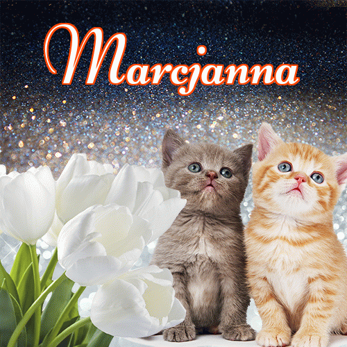 Miłego wieczoru i dobrej nocy życzę!。 