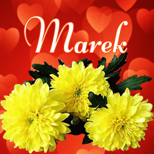 Miłego wieczoru i dobrej nocy życzę!。 