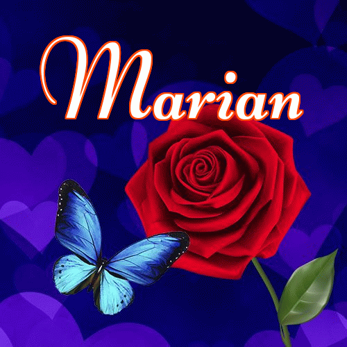 Miłego wieczoru i dobrej nocy życzę!。 