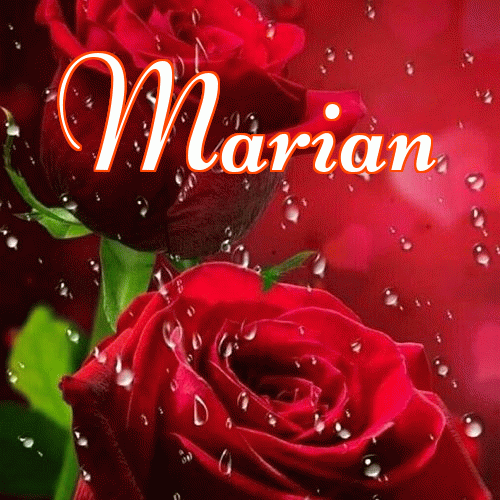 Miłego wieczoru i dobrej nocy życzę!。 