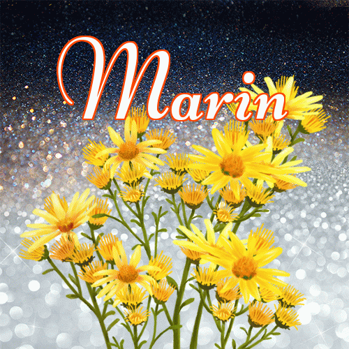 Miłego wieczoru i dobrej nocy życzę!。 