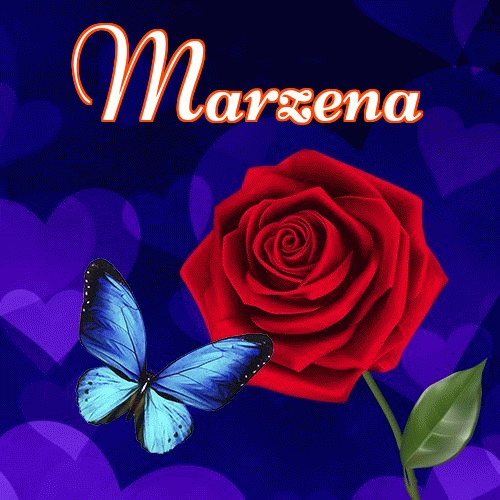 Miłego wieczoru i dobrej nocy życzę!。 