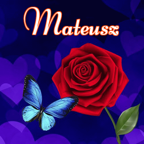 Miłego wieczoru i dobrej nocy życzę!。 