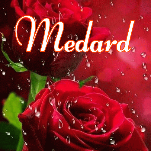 Miłego wieczoru i dobrej nocy życzę!。 