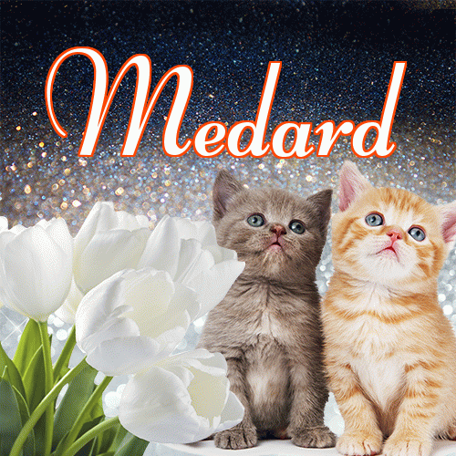 Miłego wieczoru i dobrej nocy życzę!。 