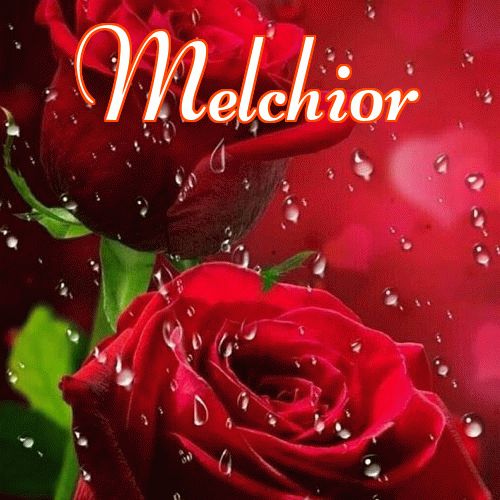 Miłego wieczoru i dobrej nocy życzę!。 