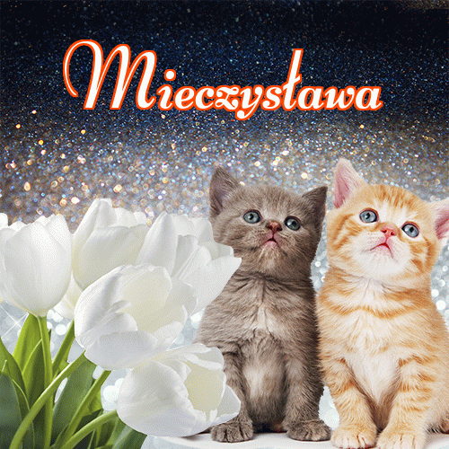 Miłego wieczoru i dobrej nocy życzę!。 