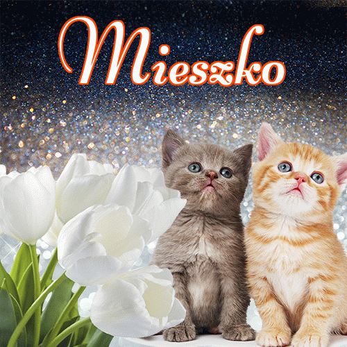 Miłego wieczoru i dobrej nocy życzę!。 