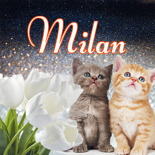 Miłego wieczoru i dobrej nocy życzę!。 