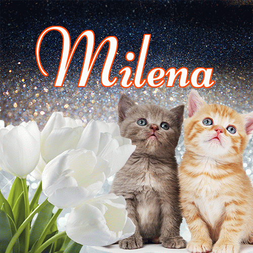 Miłego wieczoru i dobrej nocy życzę!。 