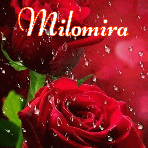 Miłego wieczoru i dobrej nocy życzę!。 