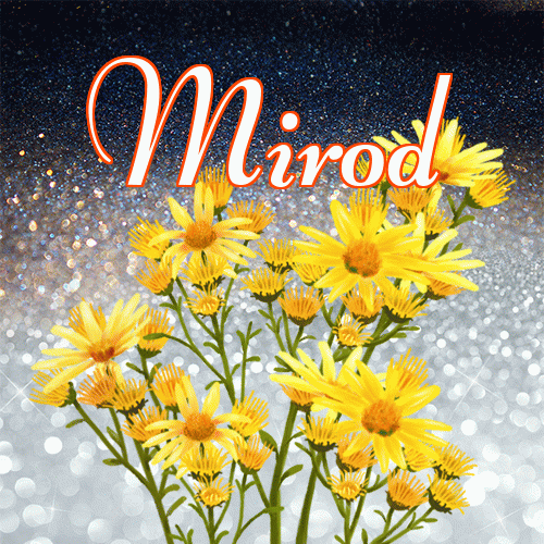 Miłego wieczoru i dobrej nocy życzę!。 