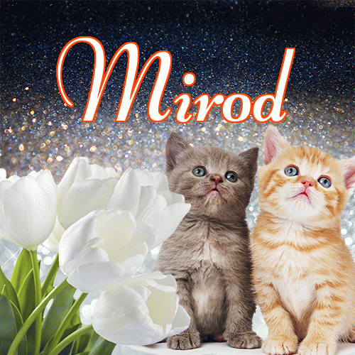 Miłego wieczoru i dobrej nocy życzę!。 