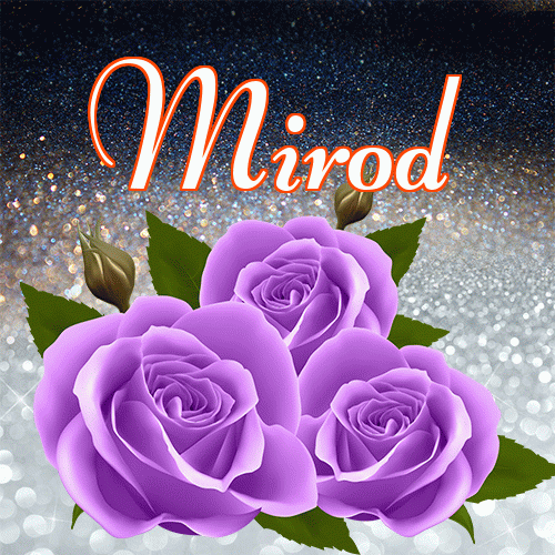 Miłego wieczoru i dobrej nocy życzę!。 