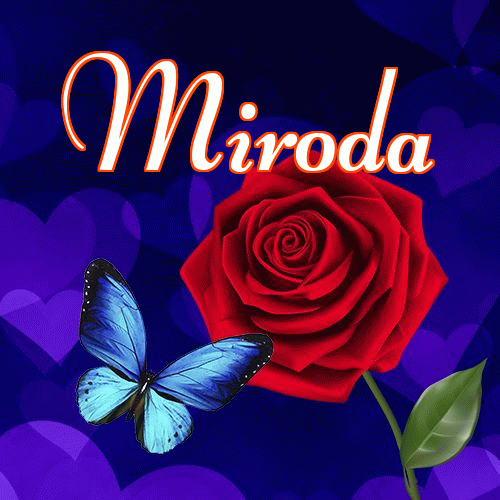 Miłego wieczoru i dobrej nocy życzę!。 