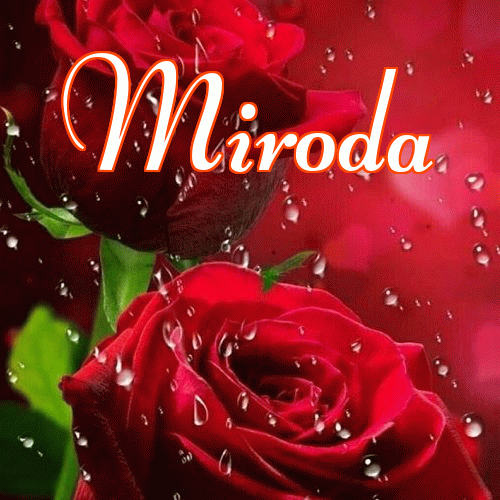 Miłego wieczoru i dobrej nocy życzę!。 