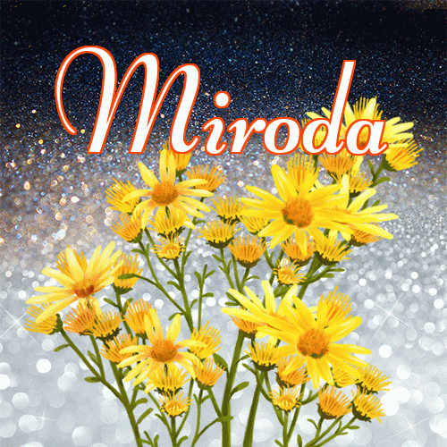 Miłego wieczoru i dobrej nocy życzę!。 