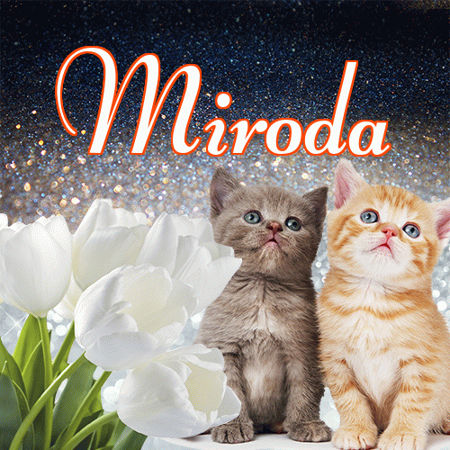 Miłego wieczoru i dobrej nocy życzę!。 