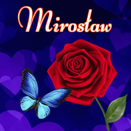 Miłego wieczoru i dobrej nocy życzę!。 