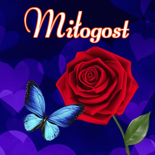 Miłego wieczoru i dobrej nocy życzę!。 