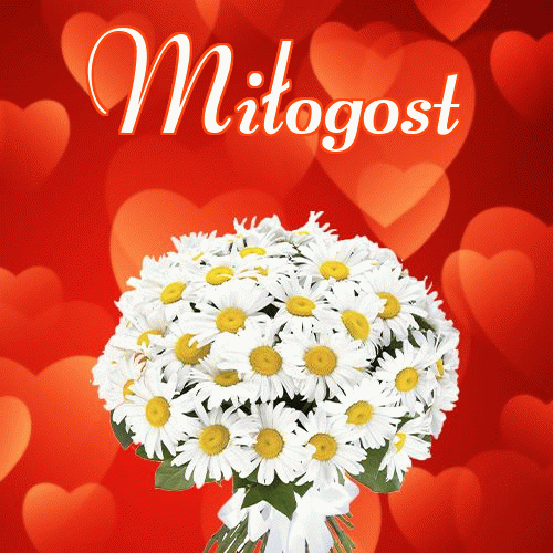 Miłego wieczoru i dobrej nocy życzę!。 