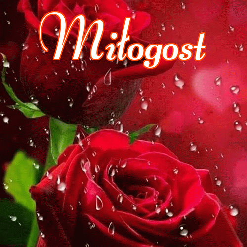 Miłego wieczoru i dobrej nocy życzę!。 