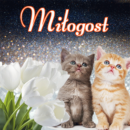 Miłego wieczoru i dobrej nocy życzę!。 