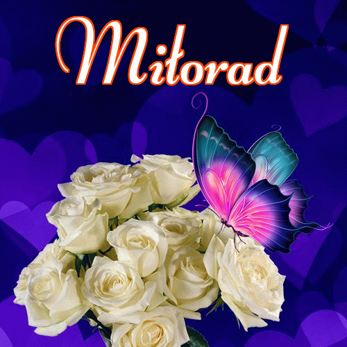 Miłego wieczoru i dobrej nocy życzę!。 