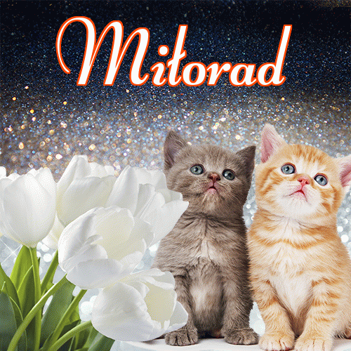 Miłego wieczoru i dobrej nocy życzę!。 